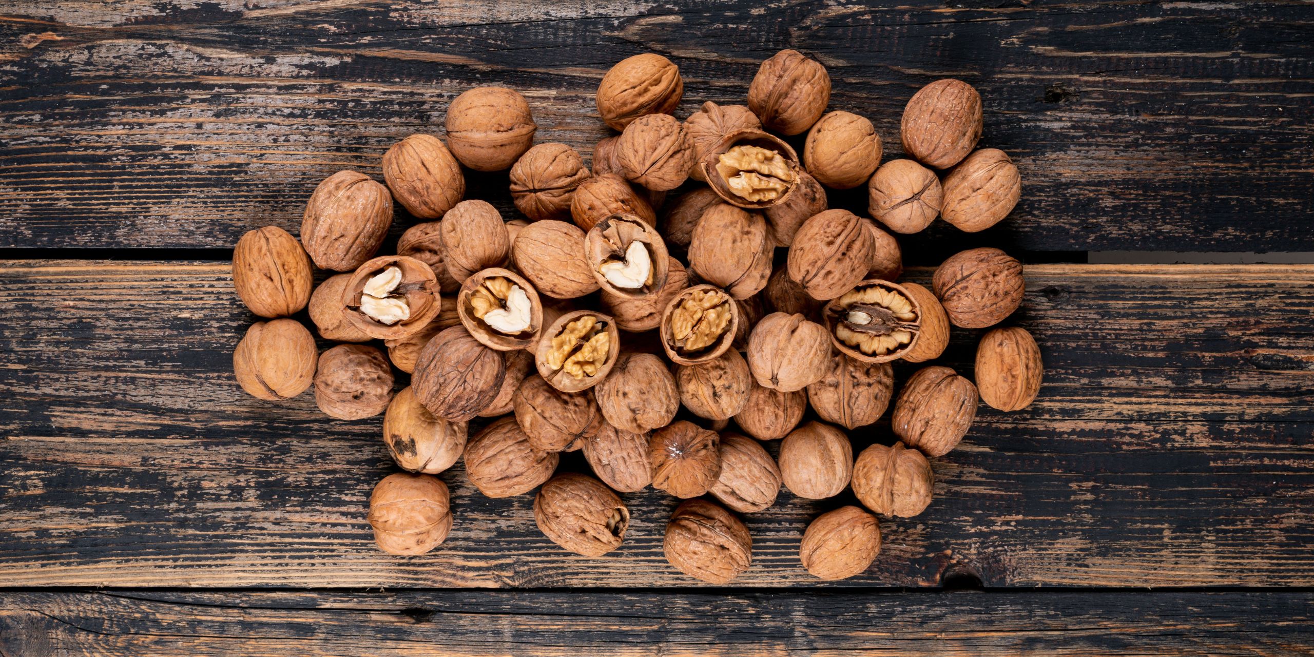 Grafik für -Von der WIFI-Abschlussarbeit zur erfolgreichen Marke