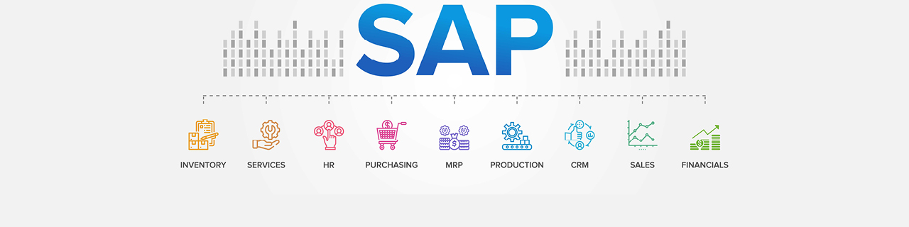 SAP HANA SD Sales & Distribution  (Vertrieb)
