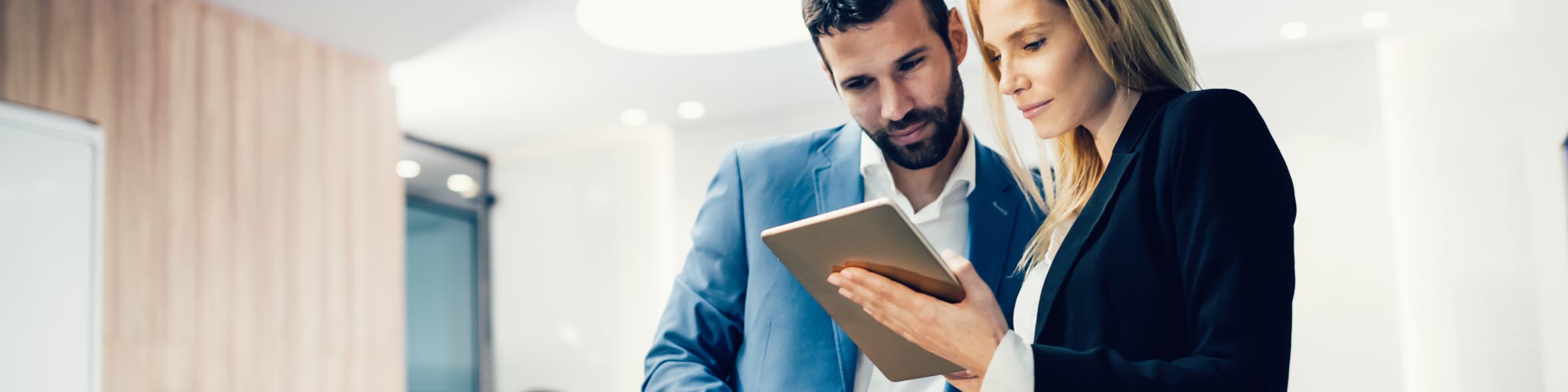 Business und IT MSc
