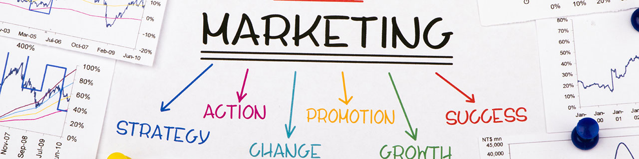 Marketing- und Verkaufsmanagement MSc