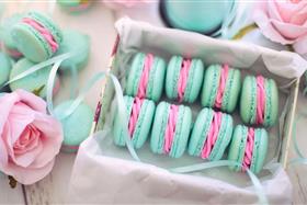 Macarons Backkurs