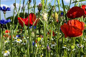 Ausbildung zum TEH®-Praktiker