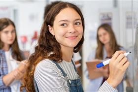 Fit für die Mathematikmatura (Nachhilfe  in Mathematik)  